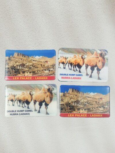 ZASK-CAMEL