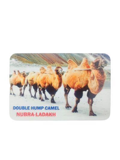 ZASK-CAMEL